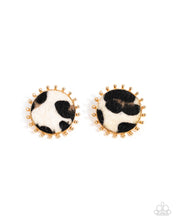 Load image into Gallery viewer, COWHIDE COUTURE - BROWN
