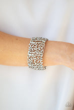 Load image into Gallery viewer, VERDANTLY VINTAGE - SILVER
